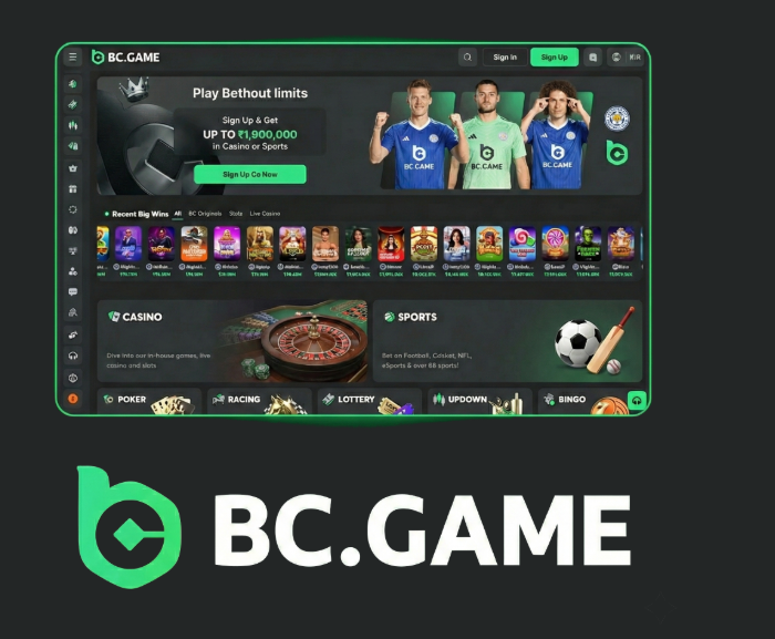 Exploring BC.Game The Leading Online Crypto Casino